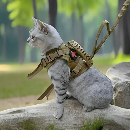 Harnais pour chat | ExploSécure