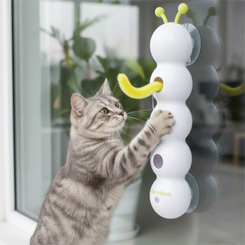 Jouet interactif chat - Attrape Queue