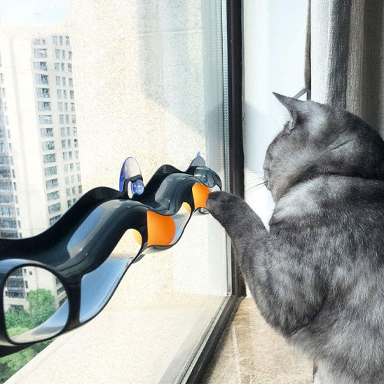 Jouet pour chat circuit mural fenêtre pour divertir un chat d'appartement efficacement.