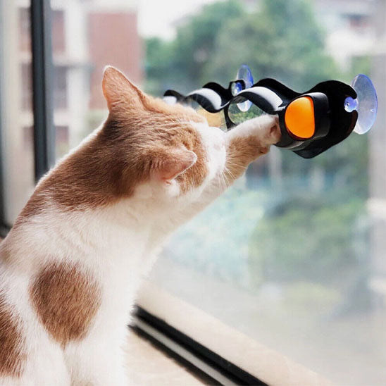 Jouet chat interactif - Circuit Mural