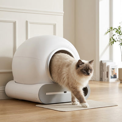 Litière autonettoyante | FreshPaws