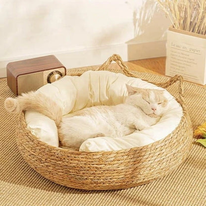 Chat blanc dormant paisiblement dans un panier en osier avec coussin moelleux