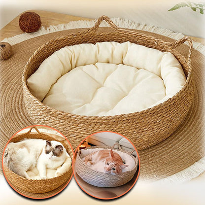 Deux chats dans un panier en osier rond avec coussin confortable