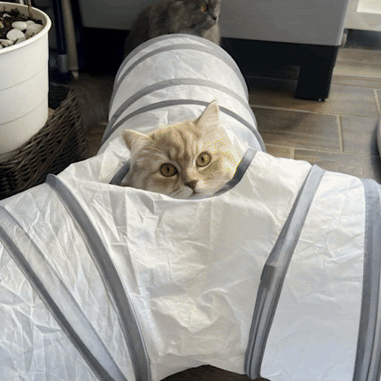 Tunnel jouet pour chat - Interactif