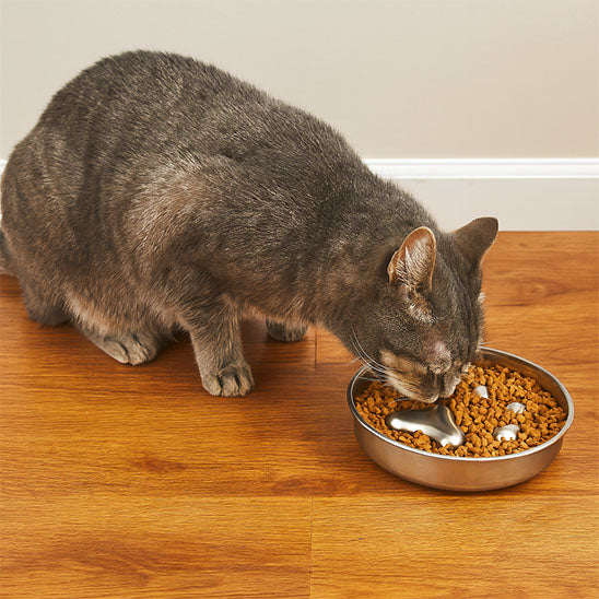 Gamelle anti glouton chat | En acier inoxydable