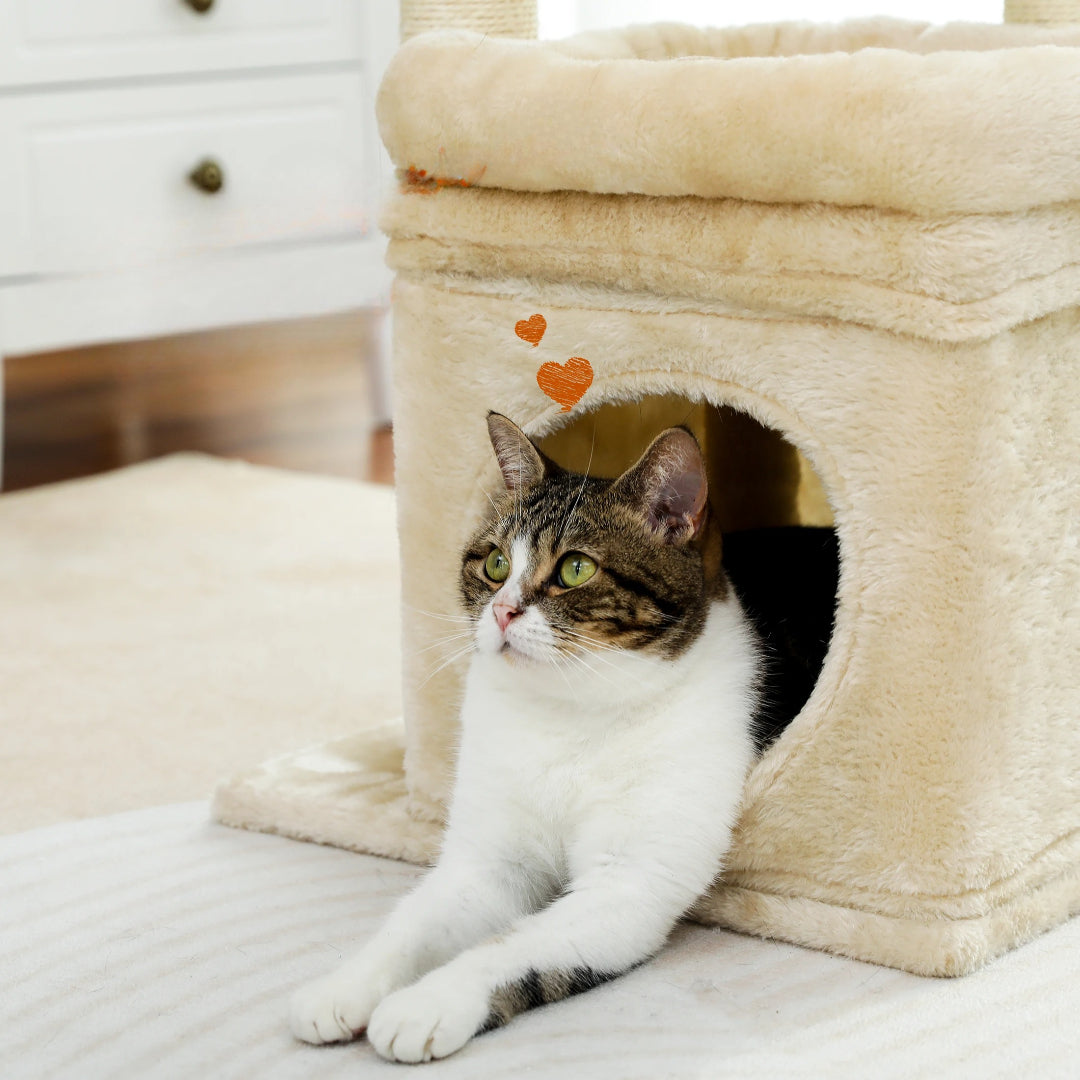 Niche d'un arbre à chat beige avec un chat à l'intérieur 