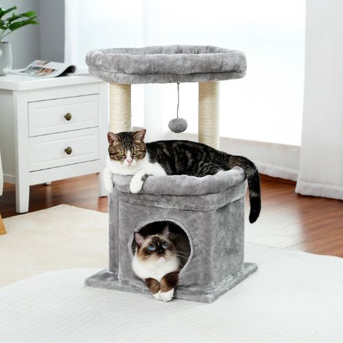 Arbre à chat 60 cm gris avec un chat sur coussin et un chat dans une niche