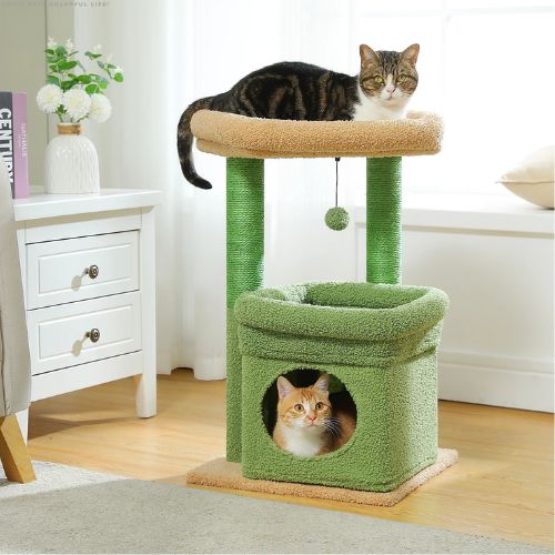 Arbre à chat 60 cm vert avec pompon suspendu, un chat sur la plateforme et un chat dans une niche