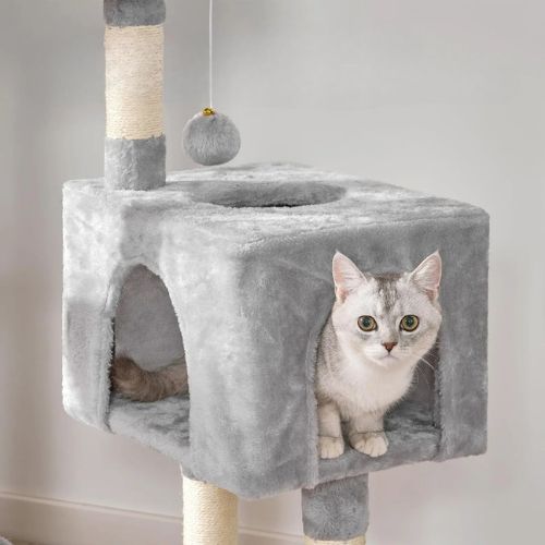  Chat gris argent installé dans la niche d’un arbre a chat gris, pompon suspendu au-dessus et poteaux en sisal servant de griffoirs robustes.