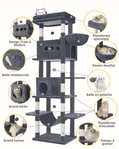 Arbre à chat XXL pour Maine Coon – Skyline 210 cm