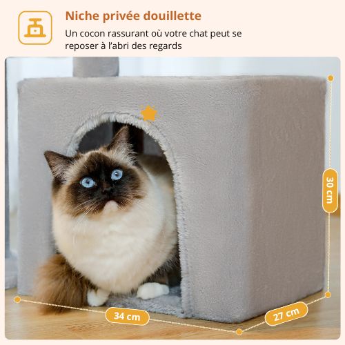 Chat aux yeux bleus installé dans la niche carrée d’un arbre à chat gris, maison douillette offrant un coin de repos calme et sécurisant