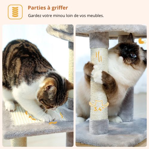 Chats utilisant les poteaux en sisal d’un arbre a chat pour faire leurs griffes, plateaux rembourrés protégeant les meubles tout en offrant une zone de jeu.