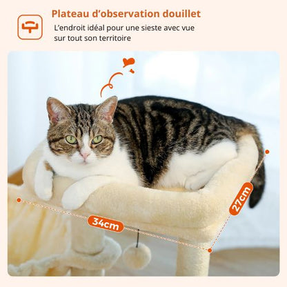 Chat tigré allongé sur le plateau supérieur d’un arbre a chat beige, rebords rembourrés offrant un poste d’observation confortable sur la pièce.