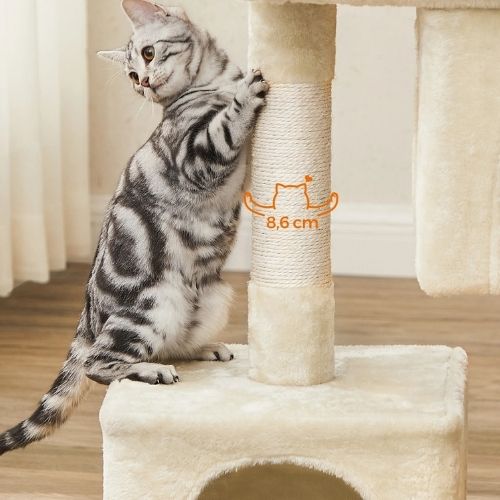 Chat tigré faisant ses griffes sur le poteau en sisal d’un arbre a chat beige, montrant une zone de grattage solide pour protéger les meubles.