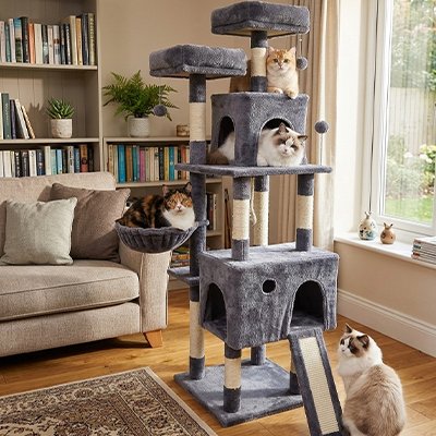 Arbre a Chat ppur grimper et d'explorer différents espaces en hauteur