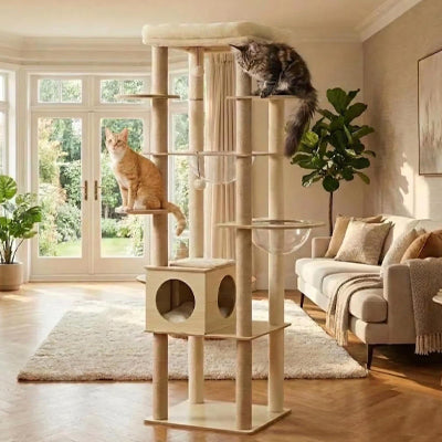 Arbre à chat bois - Multi-niveaux 180 cm