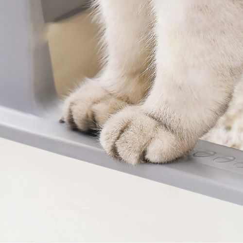 Bac à litière chat - En Acier Inoxydable Anti-odeurs