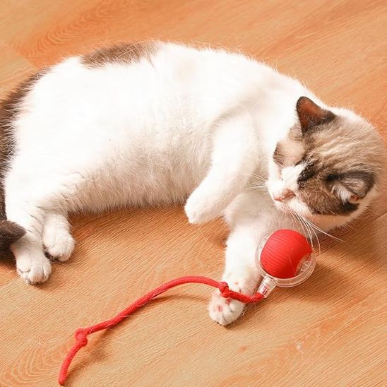 Balle interactive chat  - Rolling Ball