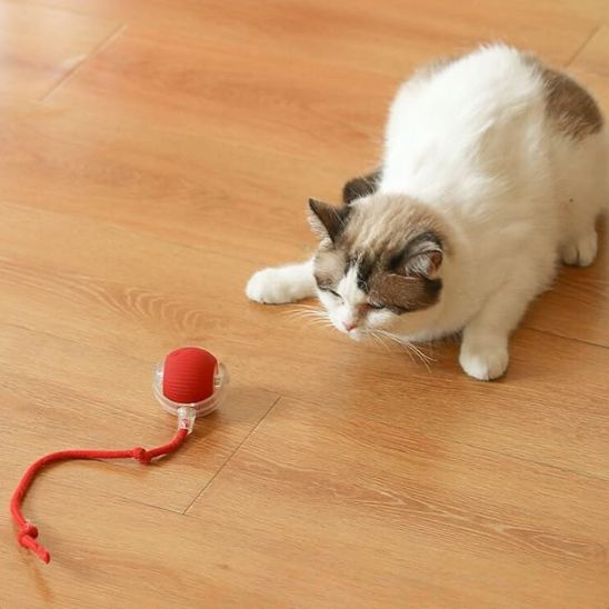 Balle interactive chat  - Rolling Ball
