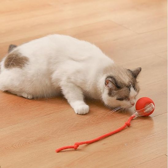 Balle interactive chat  - Rolling Ball