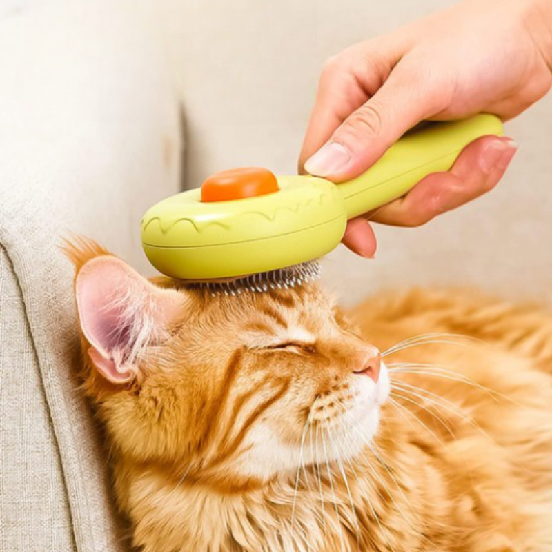 une main qui brosse la tête d'un chat avec une brosse pour chat verte
