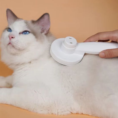 Brosse pour chat - Pelage Parfait