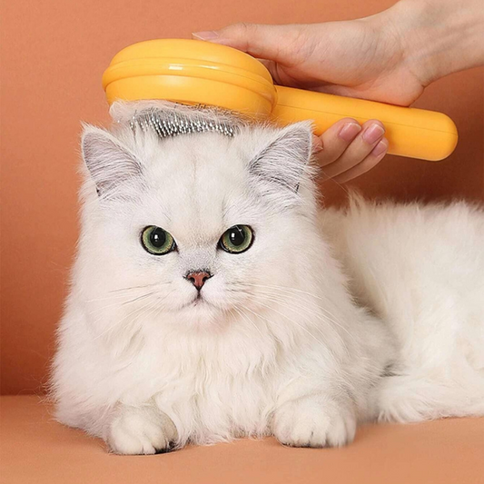 une main qui brosse la tête d'un chat blanc avec une brosse pour chat jaune