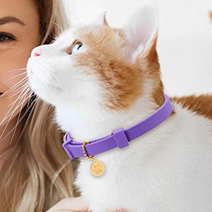 Chat blanc et roux portant un collier anti-puce violet - Femme en arrière-plan caressant le chat