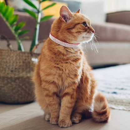 Collier chat - Bling-Bling