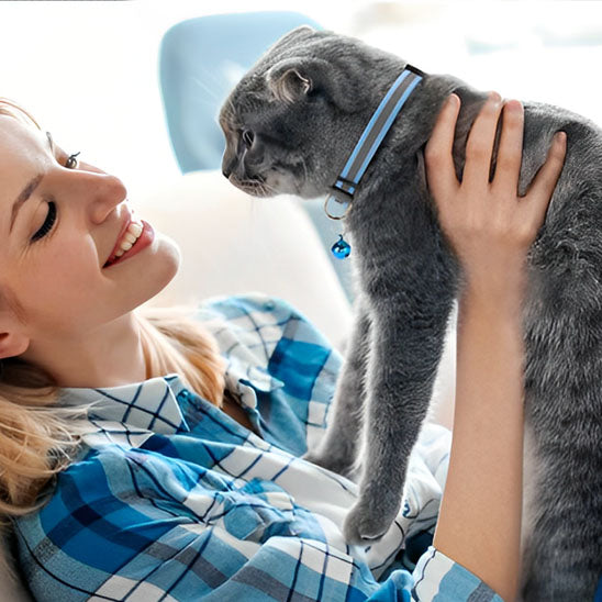Collier chat - Réfléchissant anti-étranglement