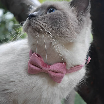 Collier chat - Noeud papillon