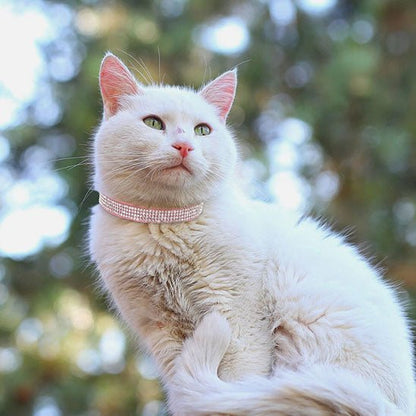 Collier chat - Bling-Bling