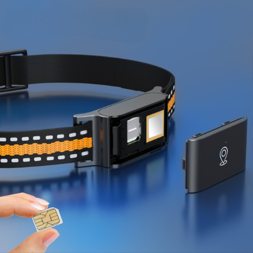 Collier GPS chat sans abonnement