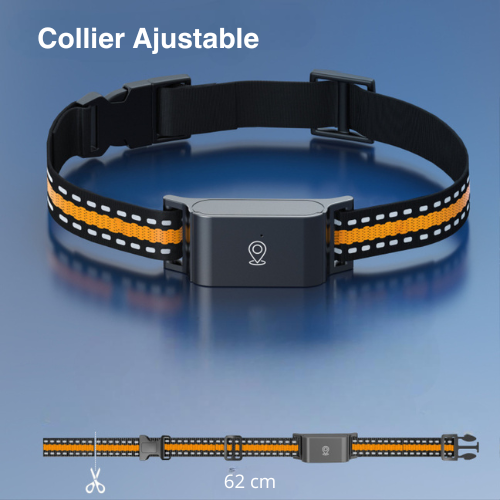 Collier GPS chat sans abonnement