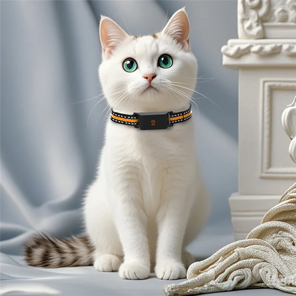 Collier GPS chat sans abonnement