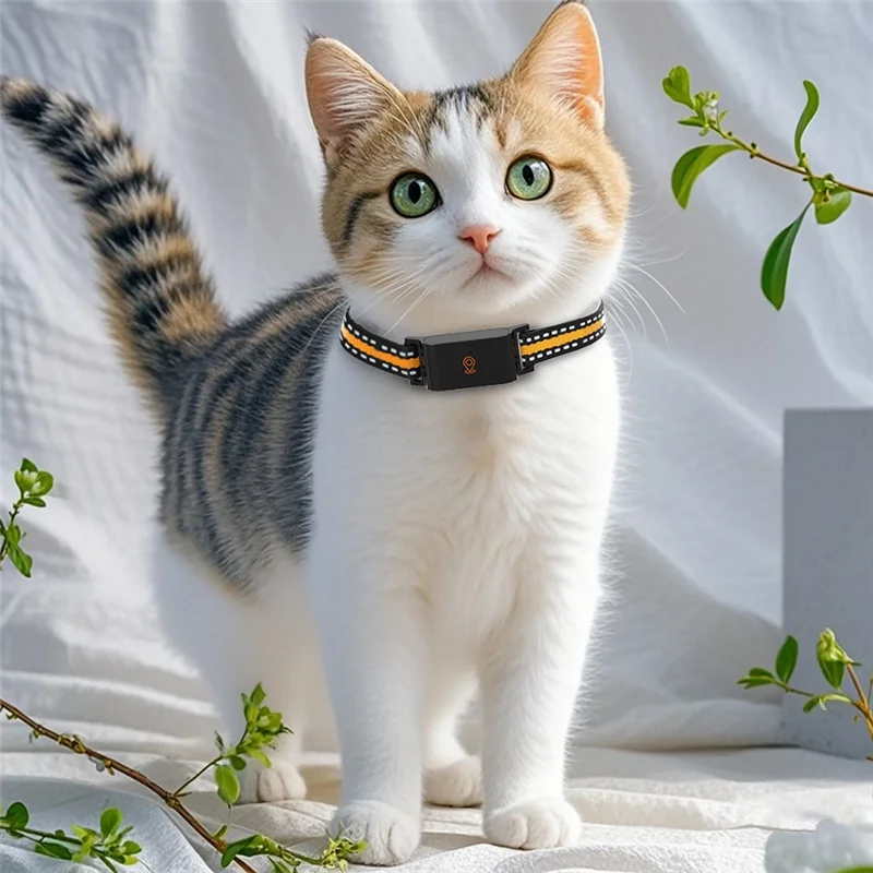 Collier GPS chat sans abonnement