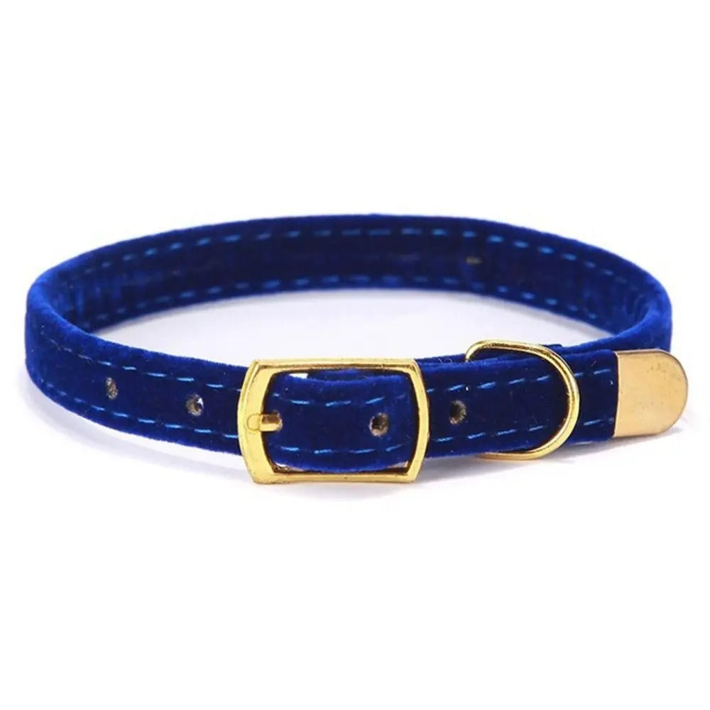 Collier pour chat - Floqué