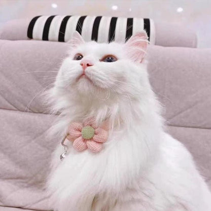 Chat blanc avec collier rose mignon pour chat