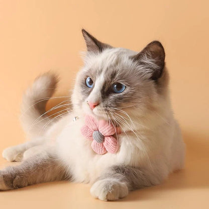 Collier pour chat - Mignon