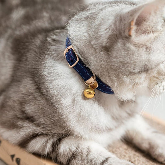 Collier pour chat - Floqué