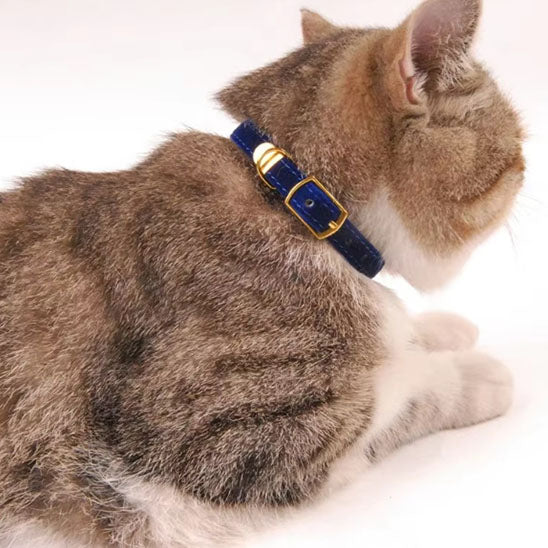 Collier pour chat - Floqué