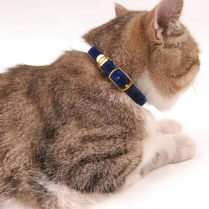 Collier pour chat - Floqué