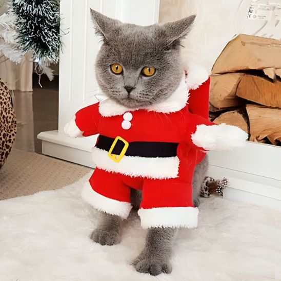 Costume pour chat Père Noël
