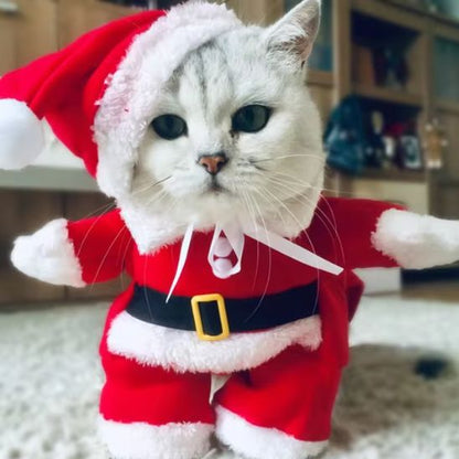 Costume pour chat Père Noël