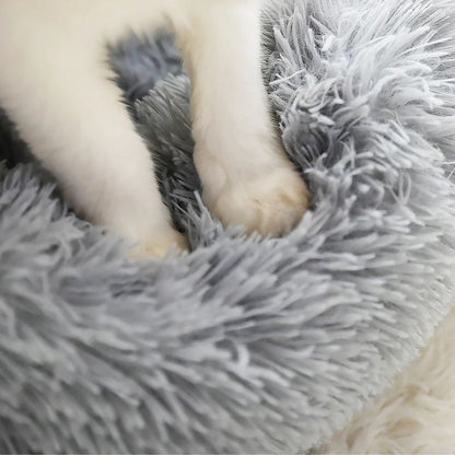 Coussin pour chats
