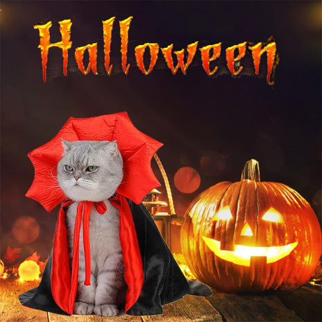 Déguisement pour Chat - Vampire
