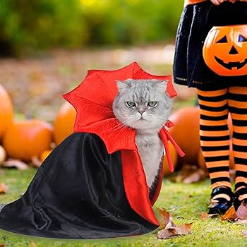 Déguisement pour Chat - Vampire