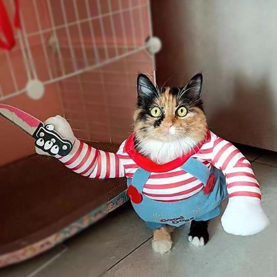 Déguisement pour Chat - Halloween