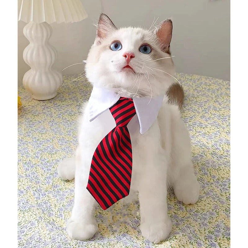 Cravate pour chat