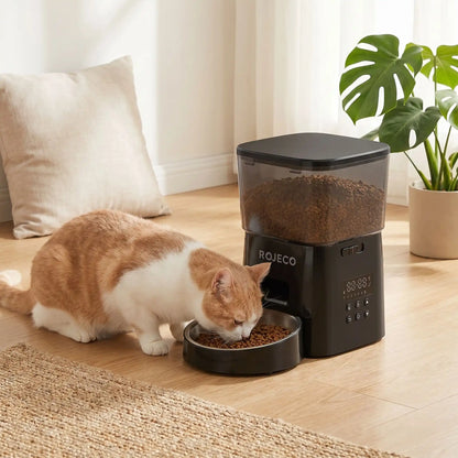 Distributeur automatique de croquettes chat- Cat Feeder